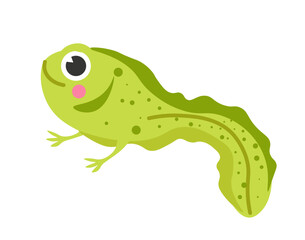 Obraz premium Tadpole or baby frog, larval character with legs