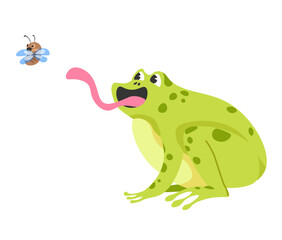 Amphibian hunts for prey, frog trying to catch fly