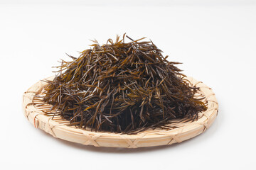 Seaweed of the brown algae Mojabanidae. The body is supported by fibrous roots, and the stem is cylindrical. © jinho Park
