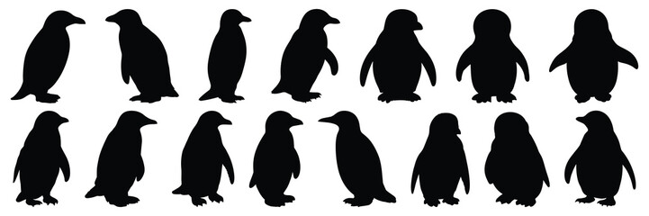 Penguin silhouettes set, large pack of vector silhouette design, isolated white background