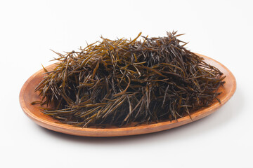 Seaweed of the brown algae Mojabanidae. The body is supported by fibrous roots, and the stem is cylindrical.