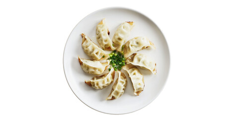 Gyoza, Chinese food, Asian food in a plate, white background