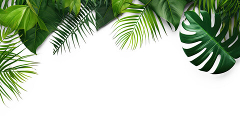 Naklejka premium Tropical leave, top view, flay lay, mock up, aesthetic, empty in the middle isolate on transparency background png 