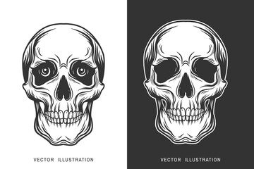 Human skull. Vector illustration. Monochrome skulls set on white and black backgrounds.