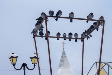 pigeons sitting on an iron structure