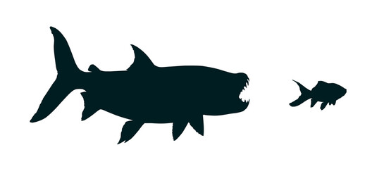 The Silhouettes of a wild predatory marine fish.
