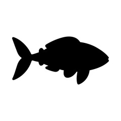 Tropical Fish Silhouette Illustration On Isolated Background