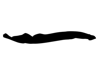 Sea Lamprey silhouette vector art white background