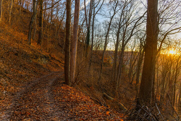 A hiking trail in the forest near the city of Jena in autumn - 703727876