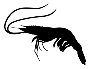 Shrimp silhouette vector art, Seafood silhouette