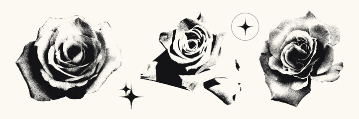 Naklejka premium Roses photocopy effect elements set. Flower heads with grunge stippling grain messy texture. Trendy y2k aesthetic vector illustration. Ideal for poster design, t shirt, tee print, sweatshirt