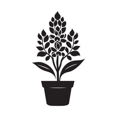Sage flower icon isolated on white background. Silhouette of plant. Vector illustration.