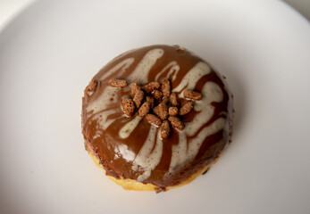 a delicious chocolate donut on a plate and a white background