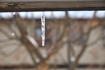 つららと落ちる水滴