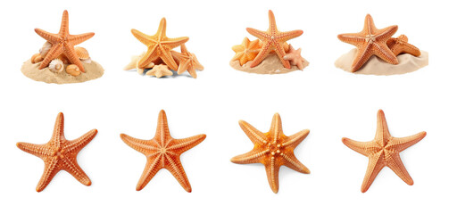Fototapeta na wymiar Set of starfish on sand isolate on transparency background png 