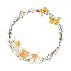 Watercolor wreath of spring branches with delicate daffodils. Easter holiday illustration hand drawn. Sketch on isolated background for greeting cards, invitations, banners, posters, textiles, graphic