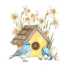 Watercolor Easter illustration with blue bird, yellow house, Easter eggs and daffodils. Illustration hand drawn on isolated background for greeting cards, invitations, happy holidays, posters.
