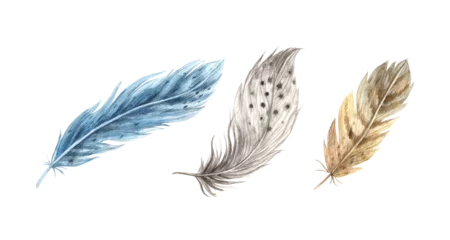 Tableaux sur verre Plumes Set of watercolor realistic feathers. Detailed bird feathers in a realistic style. Illustration hand drawn on isolated background for greeting cards, invitations, happy holidays, posters.