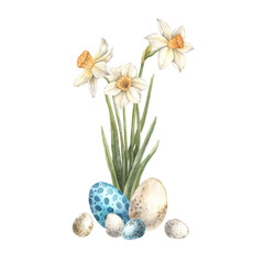 Watercolor Easter composition of daffodils and eggs. Easter holiday illustration hand drawn. Sketch on isolated background for greeting cards, invitations, happy holidays, posters, graphic design.