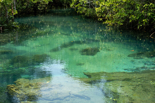 Transparent green and blue stream the tree roots and rocks under the water. Thapom Klong Song Nam in Krabi, Thailand