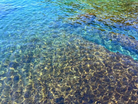 Clearest sea water with algae on the underwater stones