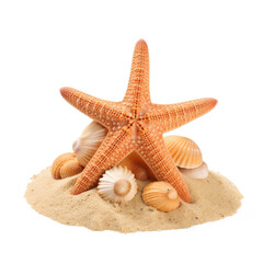 Fototapeta na wymiar Starfish on sand isolate on transparency background png 