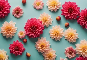 Fototapete Rund Colorful autumn dahlia flowers on pastel table with copy space for your text top view and flat lay © ArtisticLens