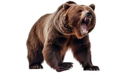  Ferocious brown grizzly bear on a transparent background (PNG)