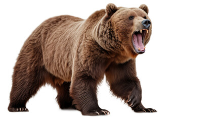  Ferocious brown grizzly bear on a transparent background (PNG)