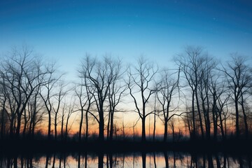 Naklejka premium stark winter trees silhouetted against a moonlit lake