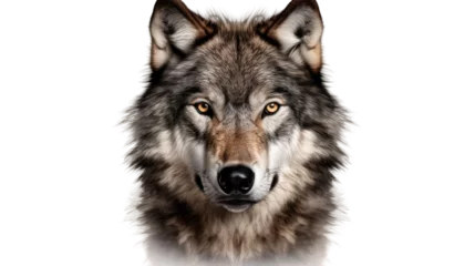 Deurstickers wolf, face shot isolated on transparent background cutout © PNG City