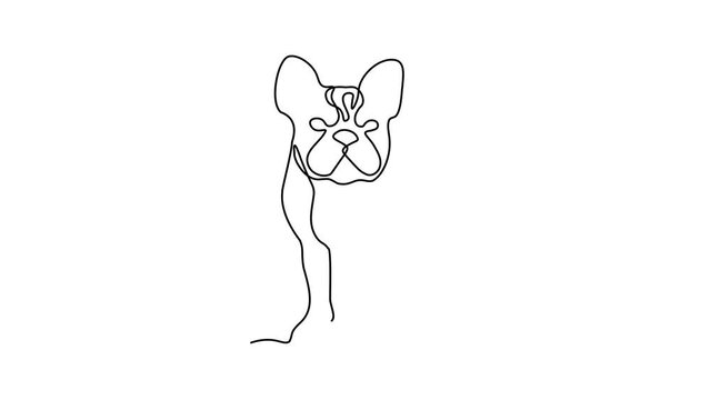 Self drawing animation with one continuous line draw, bulldog dog