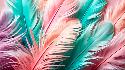 Colorful feathers background. Close-up of colorful feather texture.