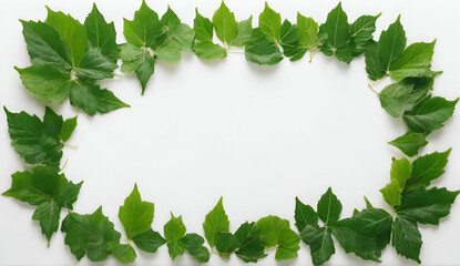 Fototapeta premium green leaves frame