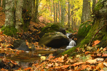 paisajes y colores del otoño