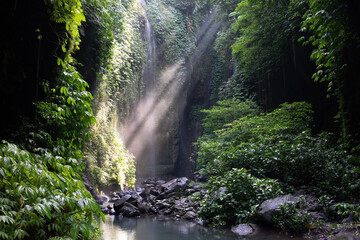 Mystical Sunbeams in a Lush Rainforest Gorge - A hidden waterfall gently cascades into a tranquil...