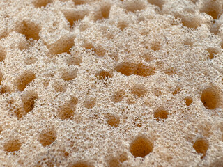 Spongy surface, close-up texture.