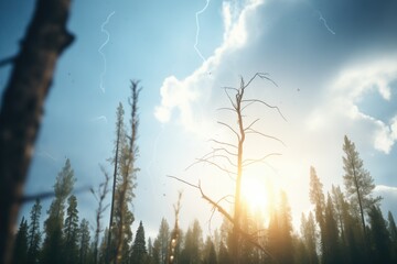 jagged lightning splitting the forest sky