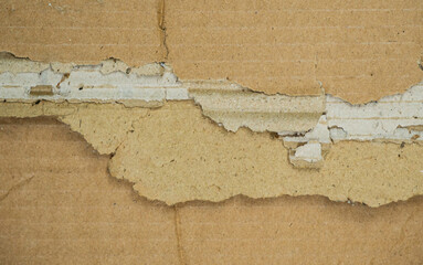 Rough torn cardboard texture background