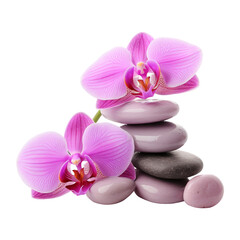 Spa concept with zen stones and orchid, isolated on white background