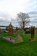imagen de un cementerio con las lápidas de piedra y un árbol seco, con el cielo nublado 