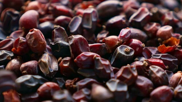 Dried barberry berries falling down close up