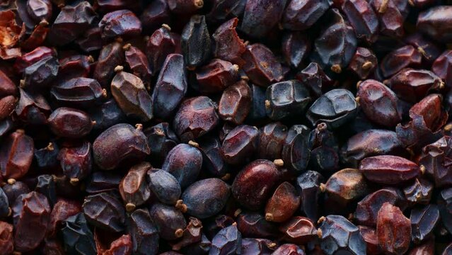 Many dried barberry berries circle rotation close up top view