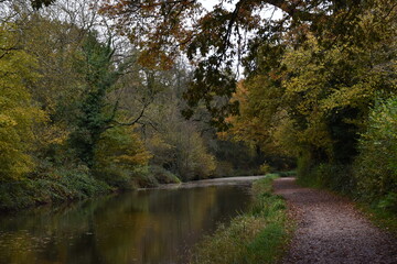 a walk along the grand western canal in Tiverton Devon during autumn 
