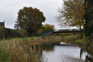 a walk along the grand western canal in Tiverton Devon during autumn 