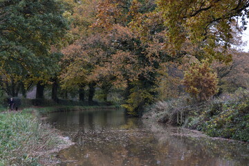 Fototapeta na wymiar a walk along the grand western canal in Tiverton Devon during autumn 
