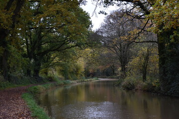 Fototapeta na wymiar a walk along the grand western canal in Tiverton Devon during autumn 
