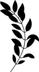 Botanical Floral Hand Drawn Line Art