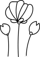 Botanical Floral Hand Drawn Line Art