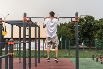 A Man Showing Strength and Agility With Impressive Pull-Ups in a Serene Park Setting
